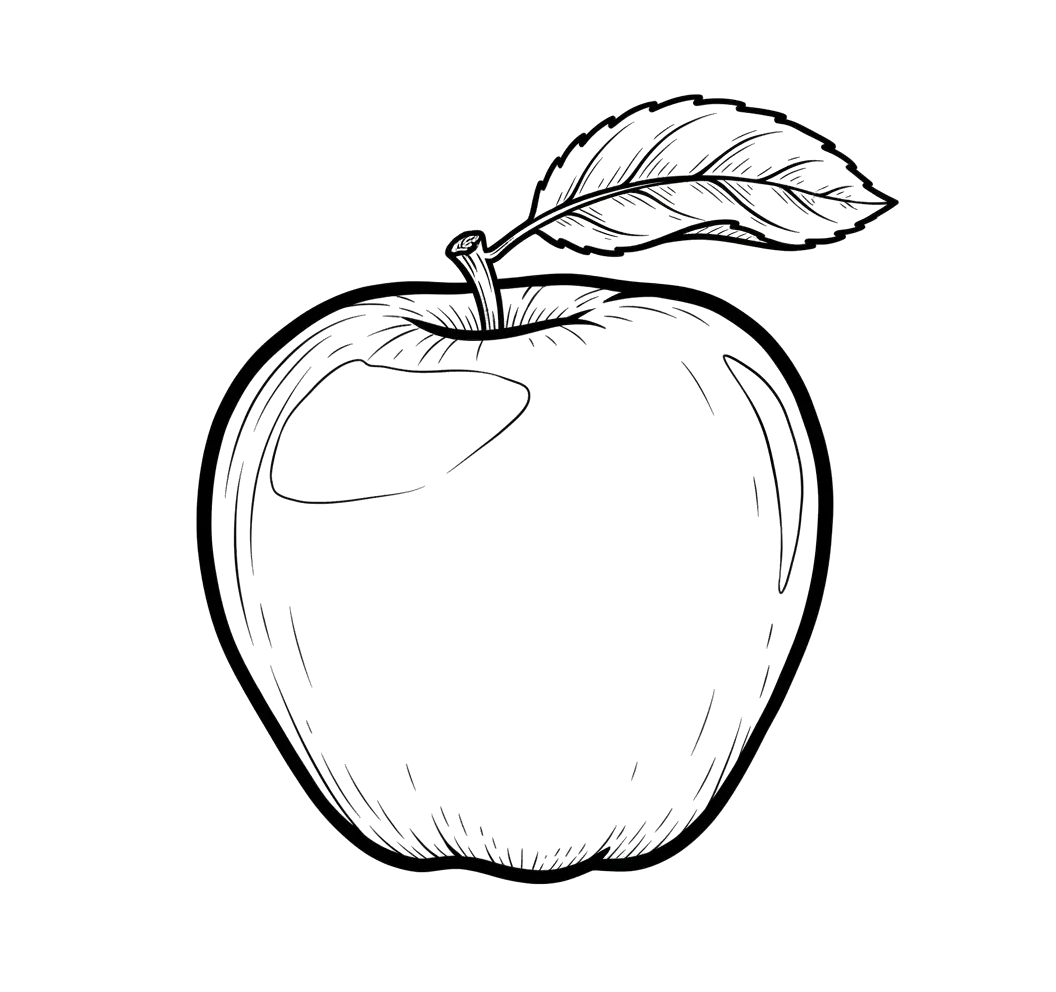 Textbook Illustration